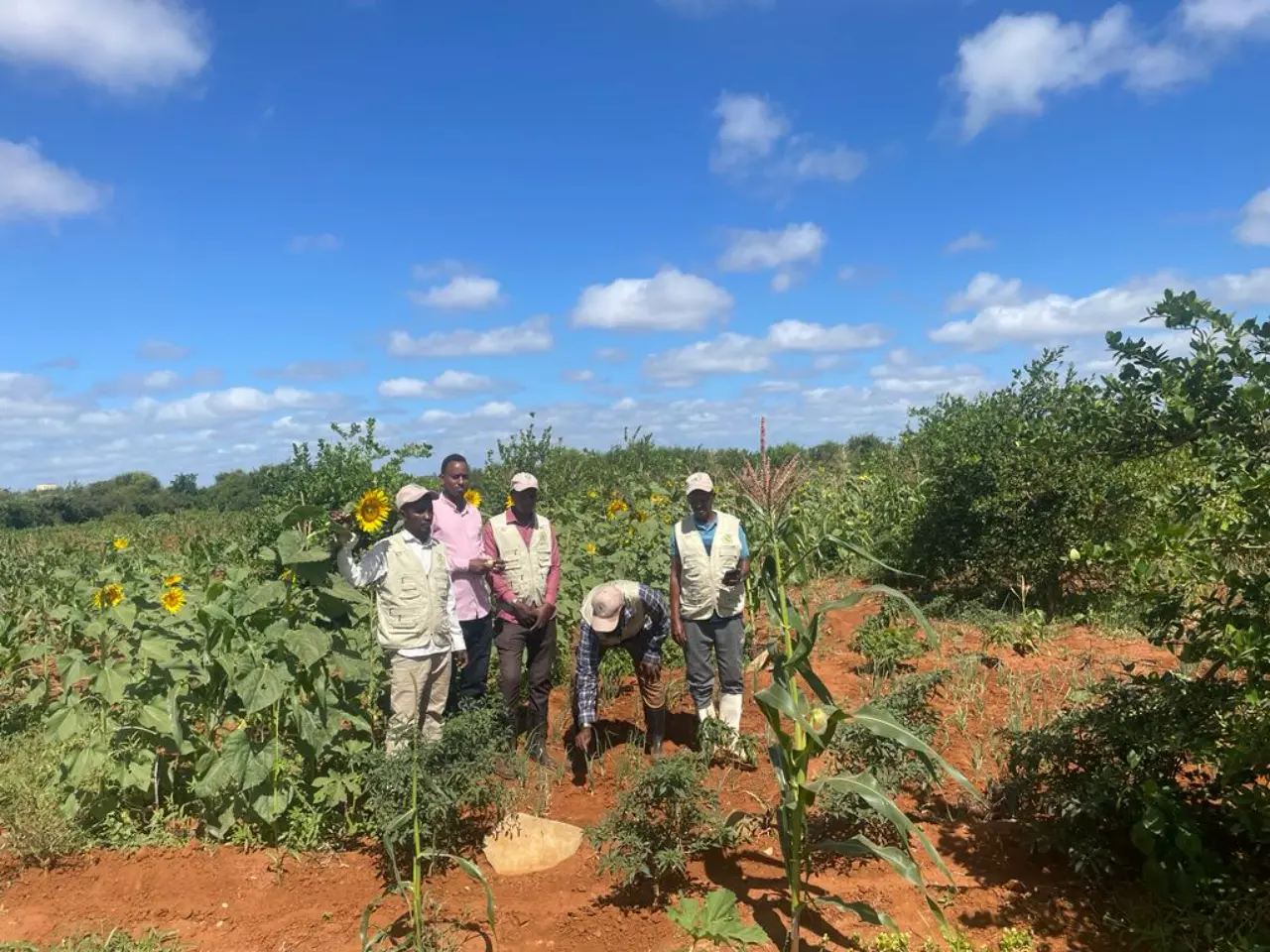 Climate-induced Conflicts Research