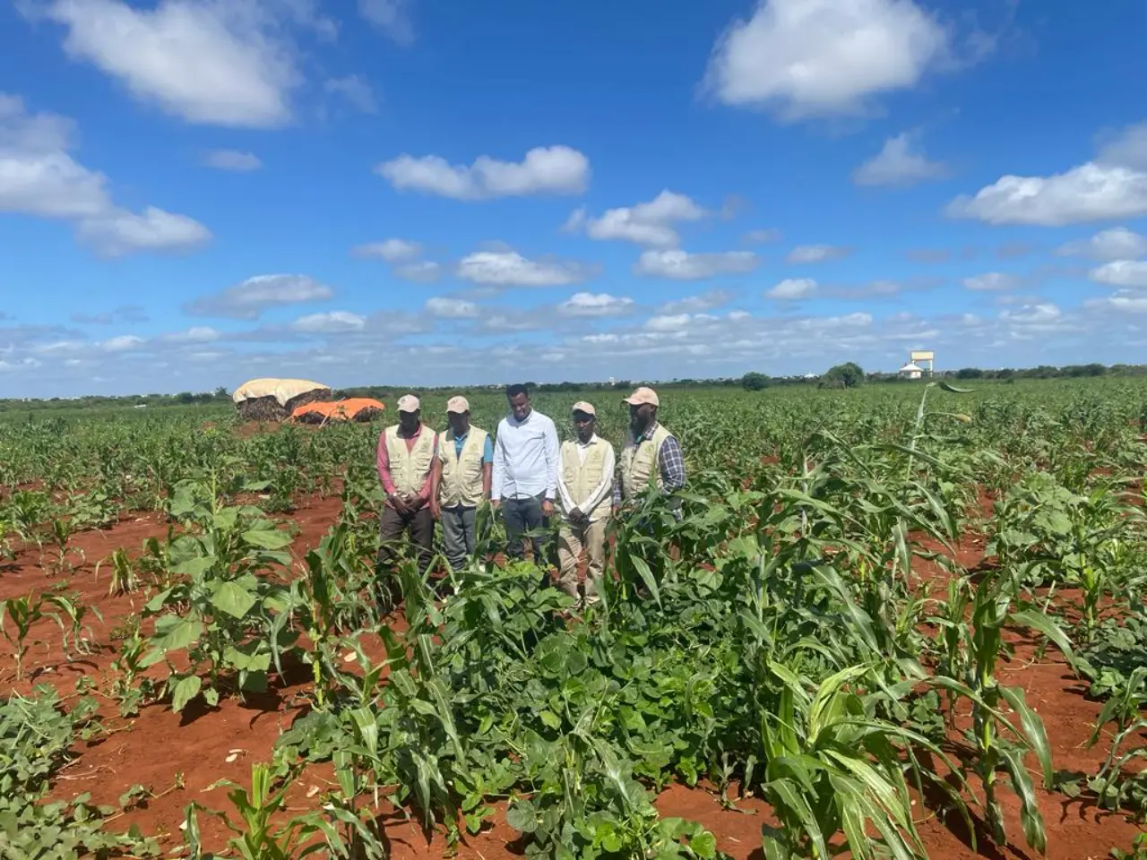 Multi-Country Program