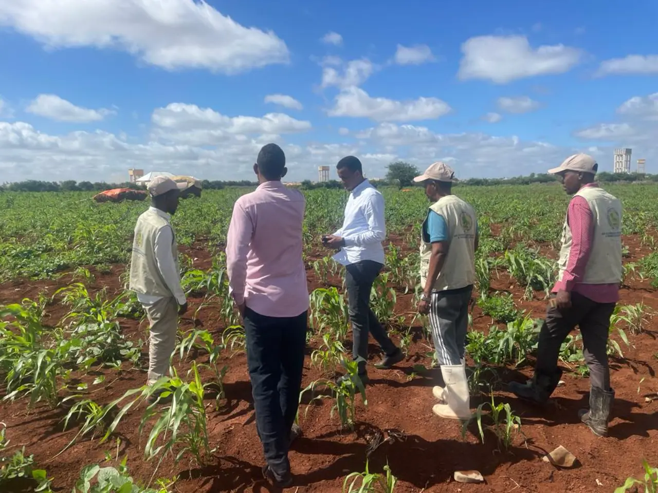 HAD Field Activities