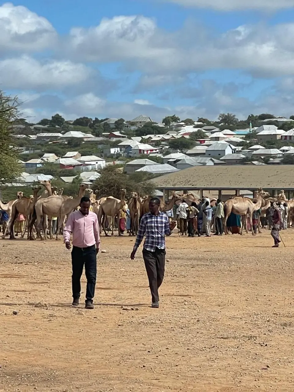 Peacebuilding & Social Cohesion - HAD Consultants community engagement