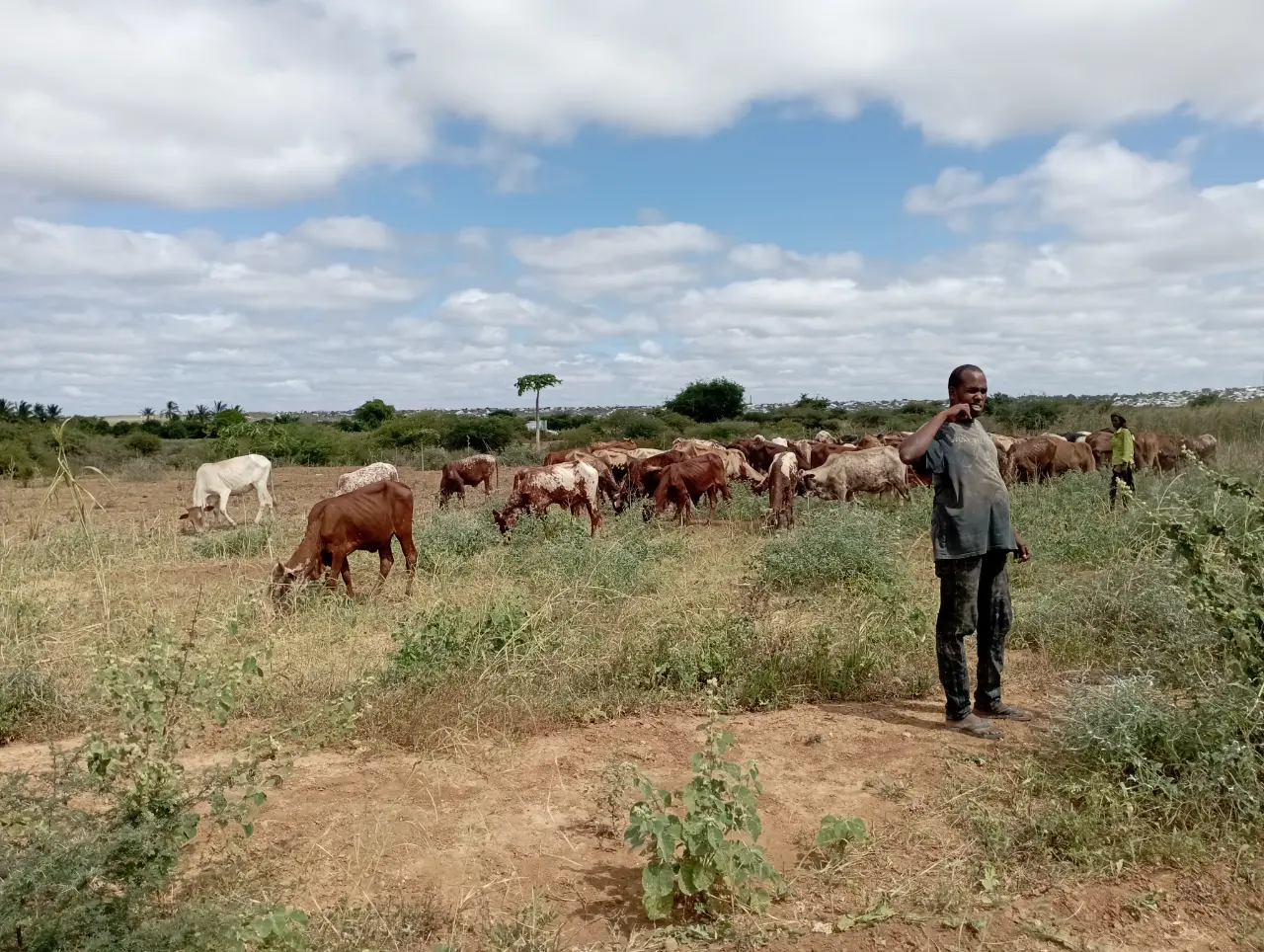 HAD Field Work with Pastoral Communities