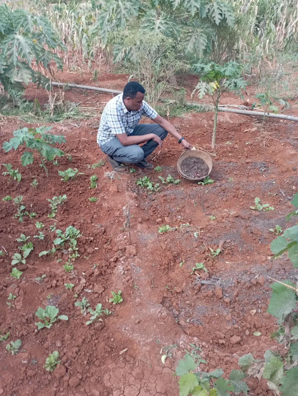 Institutional Capacity Development - HAD Consultants training and development